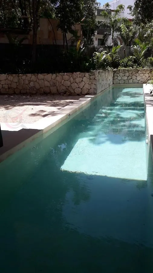 New Luxury Suite Con Plunge Pool Privado Tulum 0*,  México