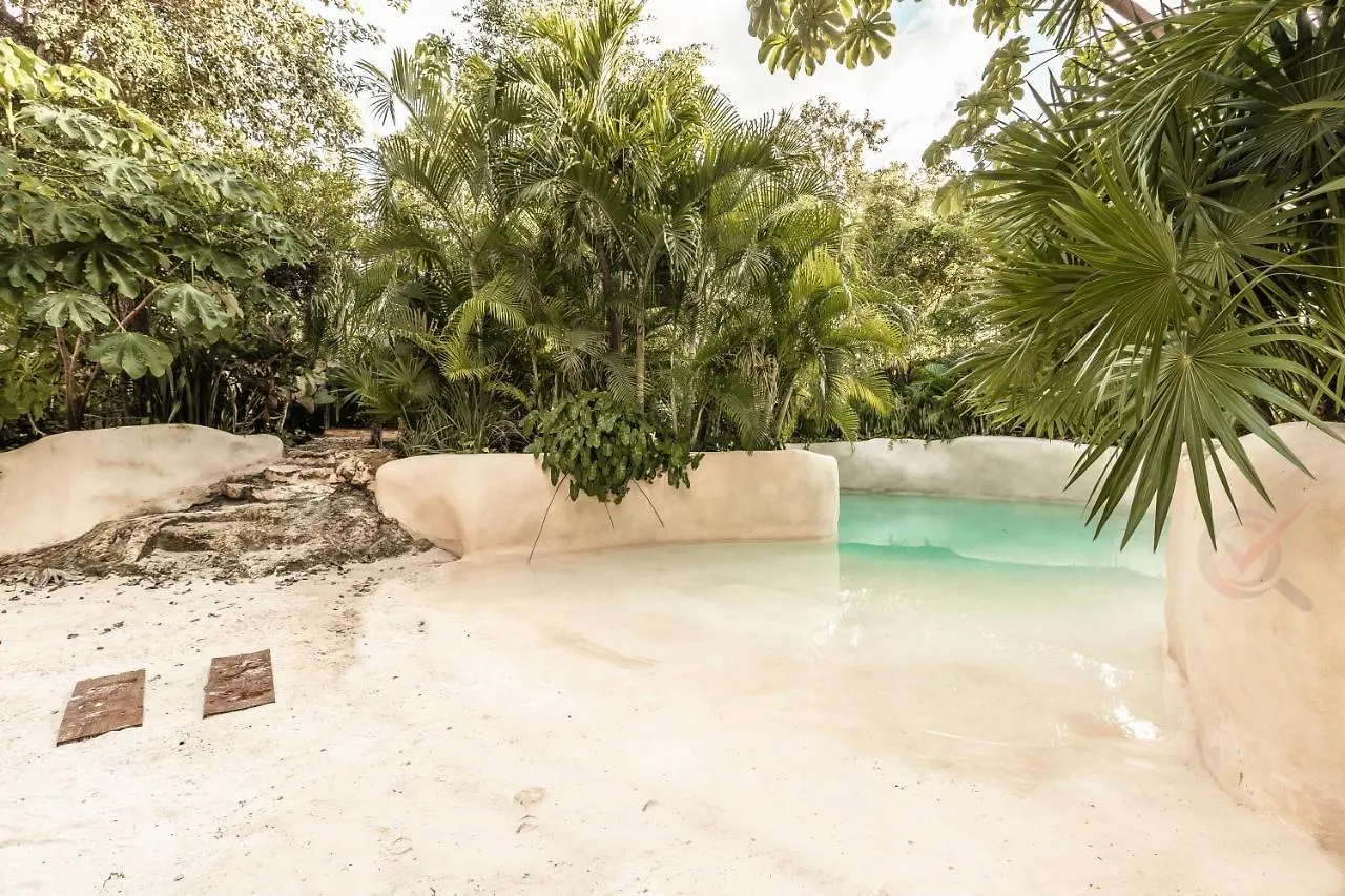 New Luxury Suite Con Plunge Pool Privado تولوم المكسيك