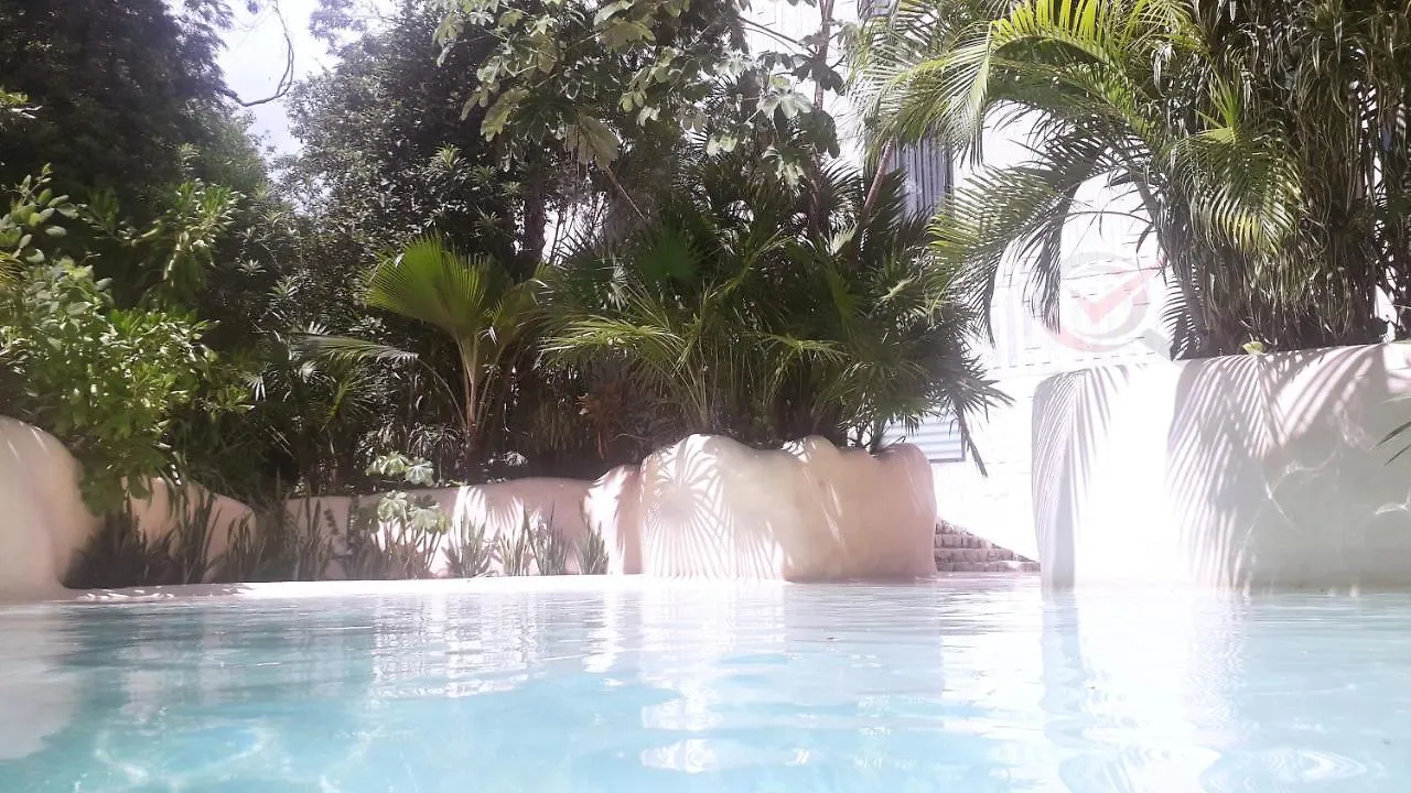New Luxury Suite Con Plunge Pool Privado تولوم