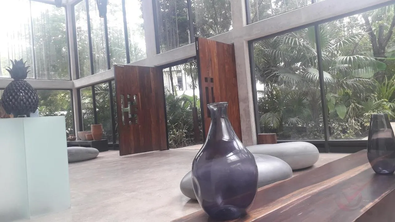 شقة New Luxury Suite Con Plunge Pool Privado تولوم