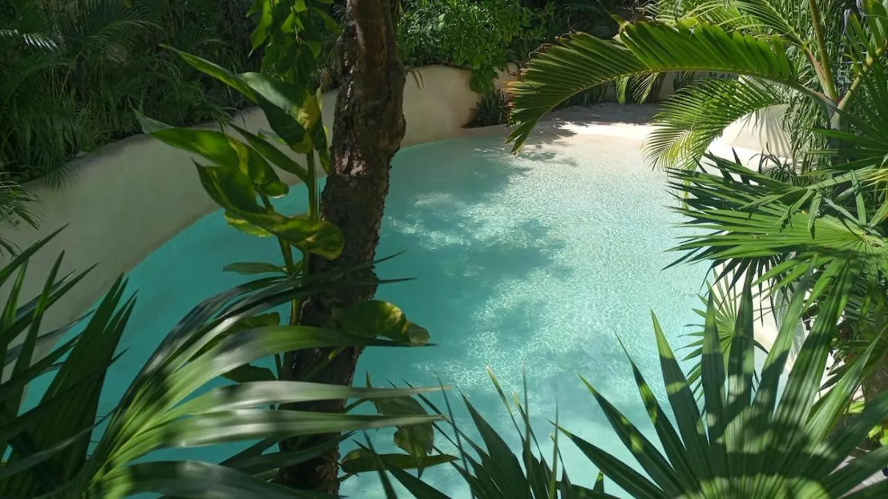 شقة New Luxury Suite Con Plunge Pool Privado تولوم المكسيك